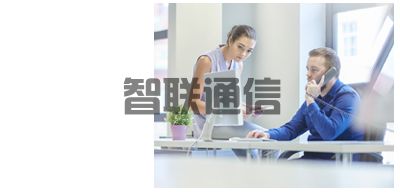 NEC SL2100 電話交換機(圖3)